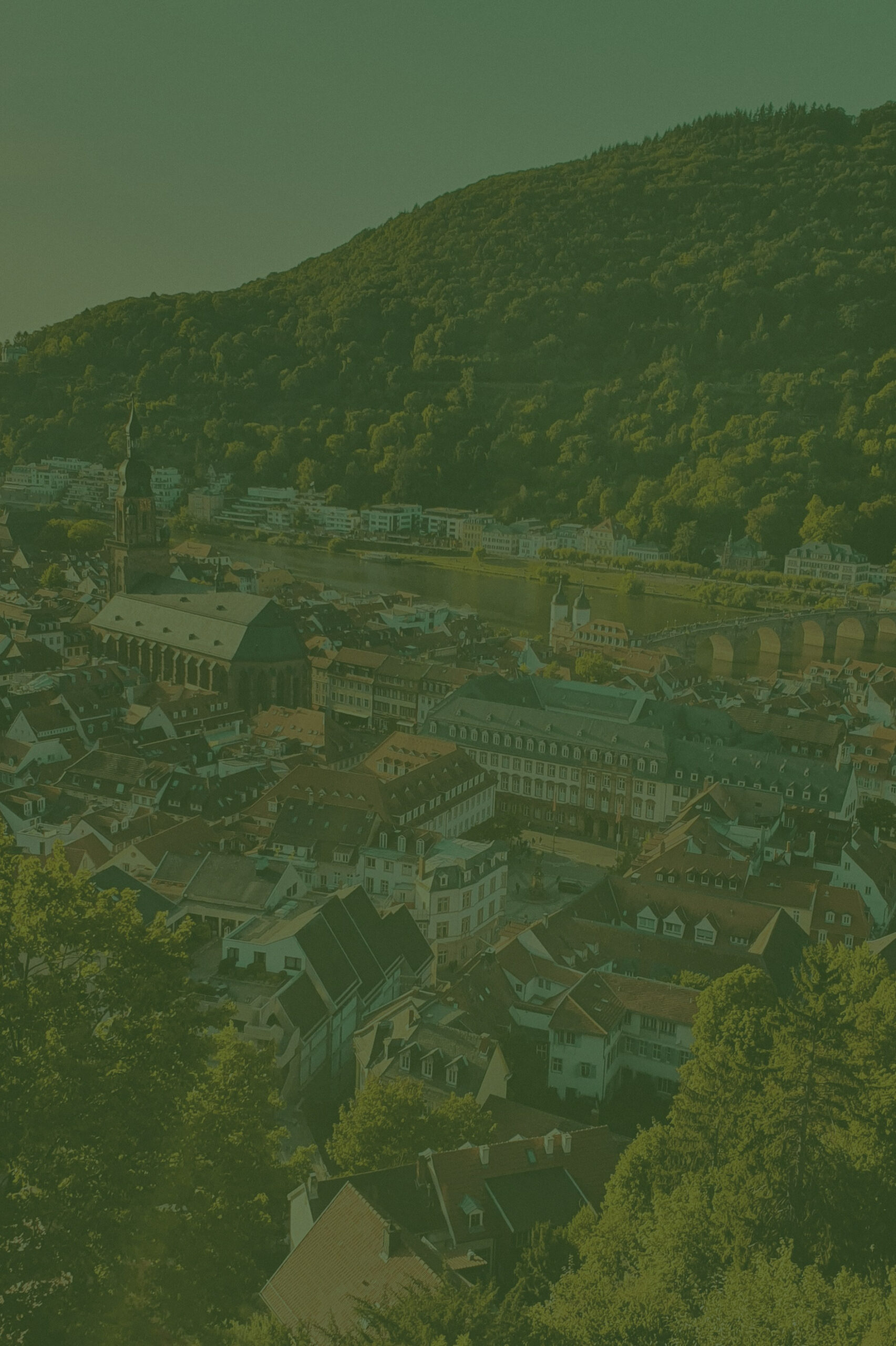 Ausblick auf die Heidelberg Altstadt